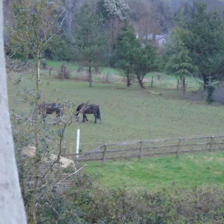Ballynona House Oda ve Kahvaltı Midleton