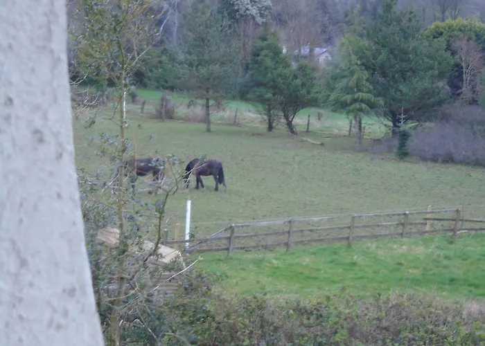 Ballynona House Bed & Breakfast Midleton