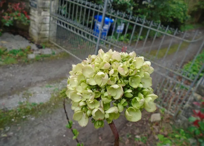 Bed & Breakfast Ballynona House